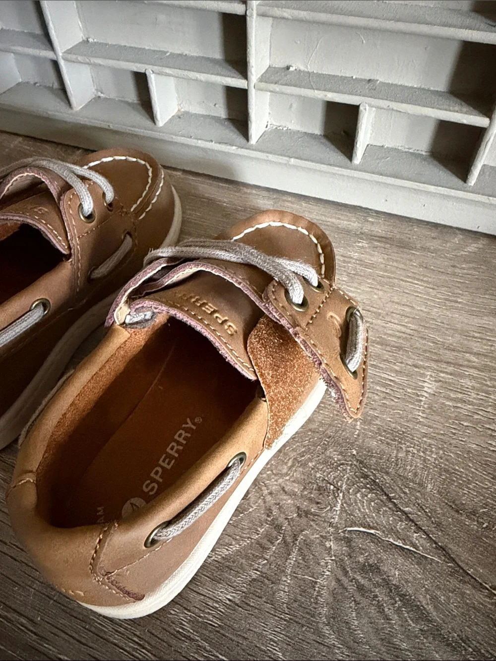 Sperry Boat Shoes, Toddler 6